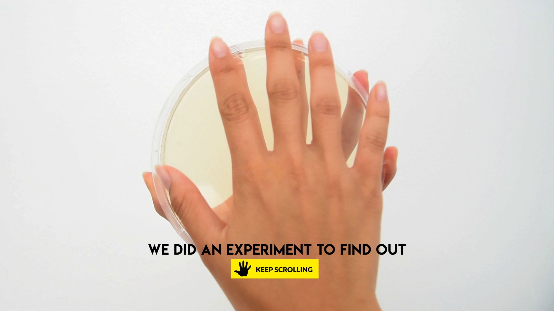 Hands on The bacteria on your hands