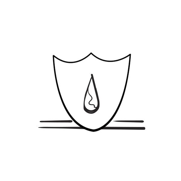 Camellia skin barrier