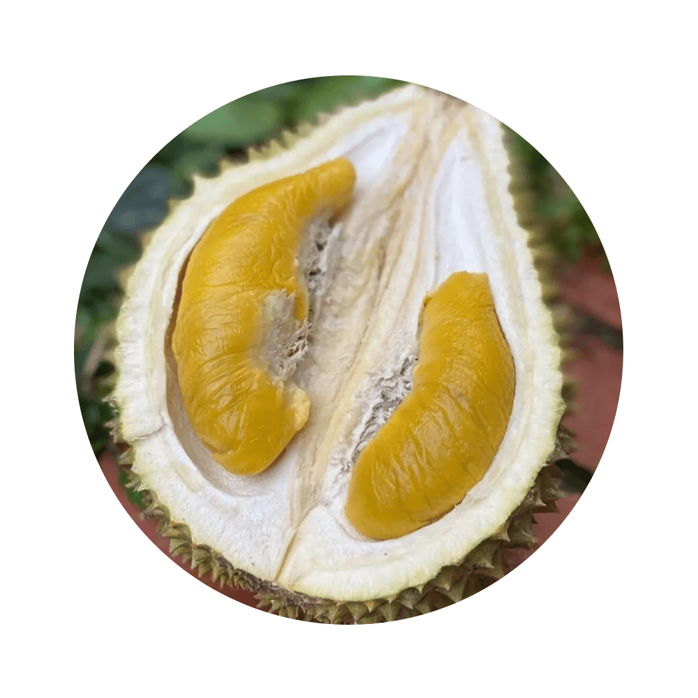 Sweet lemon, Natural foods, Food, Fruit, Ingredient, Citrus, Dishware