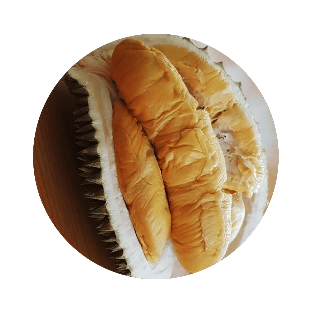 Staple food, Plant, Fruit, Ingredient