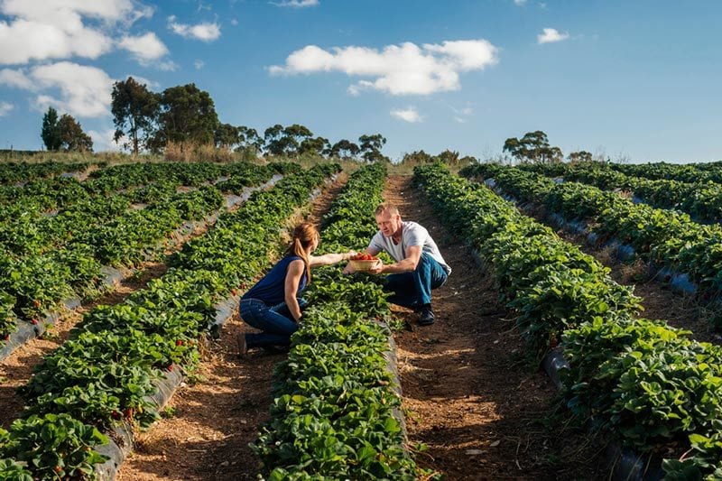 People in nature, Cloud, Sky, Plant, Tree, Agriculture