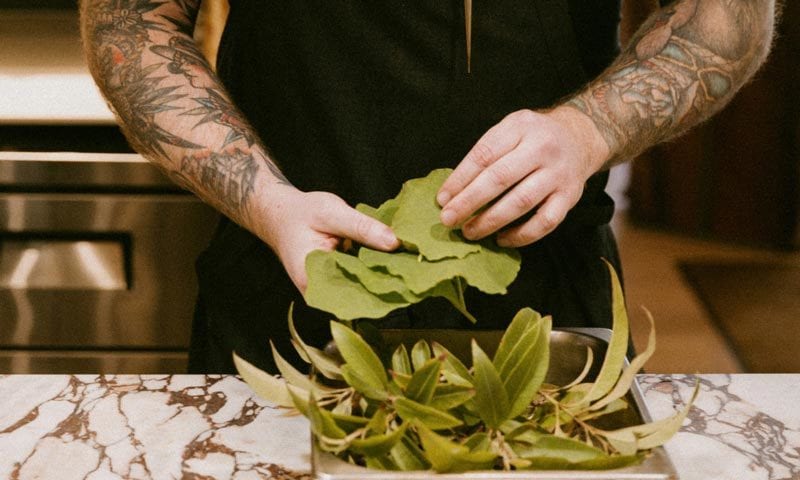 Leaf vegetable, Terrestrial plant, Hand, Gesture, Recipe, Ingredient, Cuisine