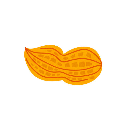 Fruit